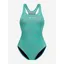 Orca Core One Piece Womens Swimsuit OD